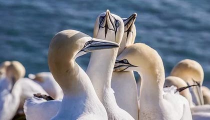 嵊州最新公积金卡提取现金操作及规定方法分析(最方便真实的嵊州公积金卡提取现金操作及规定是什么方法)