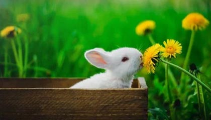 嵊州最新公积金卡提取现金方法app方法分析(最方便真实的嵊州公积金卡怎样从手机里取出来?方法)